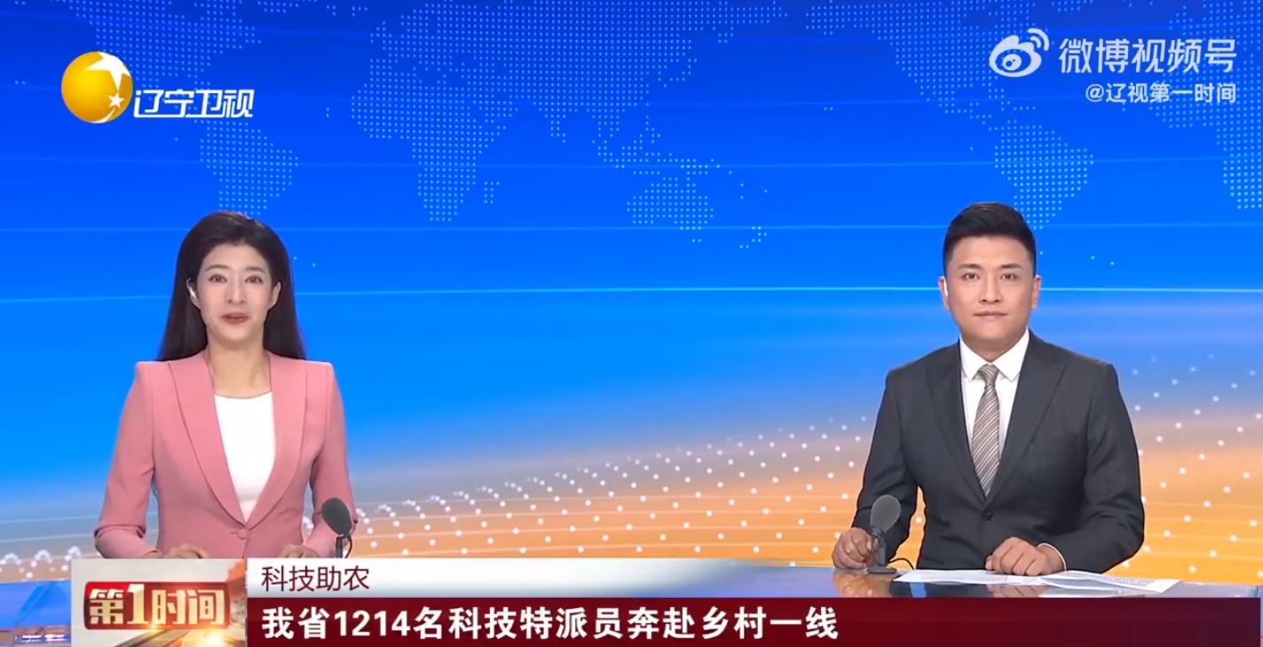 包含辽宁科技大足球队连续轮不胜，状态下滑的词条